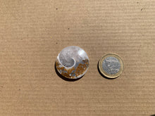 Charger l'image dans la galerie, Ammonite 38