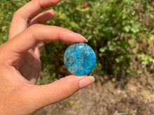 Charger l'image dans la galerie, VENDU Apatite bleue 29