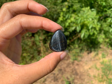 Charger l'image dans la galerie, Oeil de faucon 11