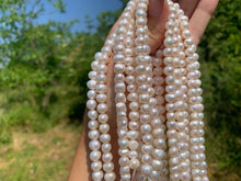 Charger l'image dans la galerie, Perles de culture blanches, forme plus ovale