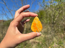 Charger l'image dans la galerie, Jaspe Bumblebee 21