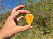 Charger l'image dans la galerie, Jaspe Bumblebee 21