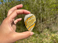 Charger l'image dans la galerie, Jaspe Bumblebee 23
