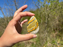 Charger l'image dans la galerie, Jaspe Bumblebee 23
