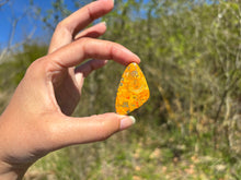 Charger l'image dans la galerie, Jaspe Bumblebee 24