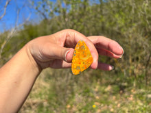 Charger l'image dans la galerie, Jaspe Bumblebee 24