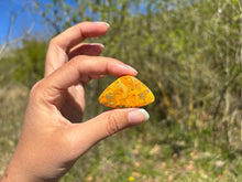 Charger l'image dans la galerie, Jaspe Bumblebee 24