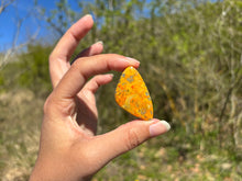 Charger l'image dans la galerie, Jaspe Bumblebee 24