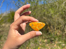 Charger l'image dans la galerie, Jaspe Bumblebee 24