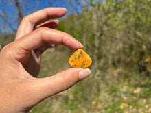 Charger l'image dans la galerie, Jaspe Bumblebee 25