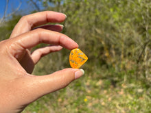 Charger l'image dans la galerie, Jaspe Bumblebee 25