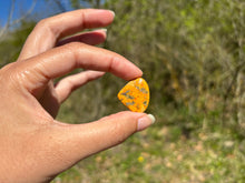 Charger l'image dans la galerie, Jaspe Bumblebee 25