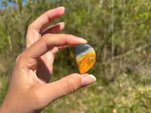 Charger l'image dans la galerie, Jaspe Bumblebee 26