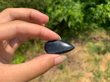 Charger l'image dans la galerie, Oeil de faucon 13