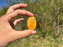 Charger l'image dans la galerie, Jaspe Bumblebee 29