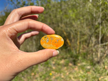 Charger l'image dans la galerie, Jaspe Bumblebee 29