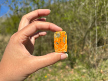 Charger l'image dans la galerie, Jaspe Bumblebee 30