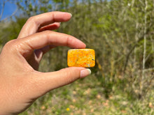Charger l'image dans la galerie, Jaspe Bumblebee 31