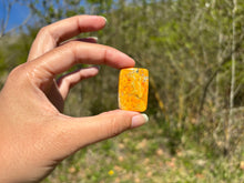 Charger l'image dans la galerie, Jaspe Bumblebee 31