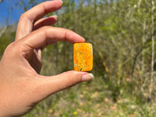 Charger l'image dans la galerie, Jaspe Bumblebee 31