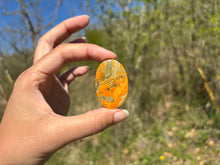 Charger l'image dans la galerie, Jaspe Bumblebee 32