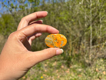 Charger l'image dans la galerie, Jaspe Bumblebee 32