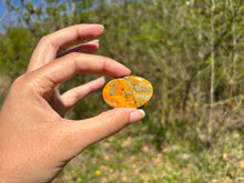 Charger l'image dans la galerie, Jaspe Bumblebee 32