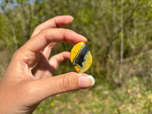 Charger l'image dans la galerie, Jaspe Bumblebee 33