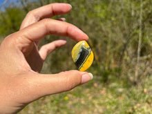 Charger l'image dans la galerie, Jaspe Bumblebee 33