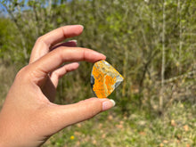 Charger l'image dans la galerie, Jaspe Bumblebee 34