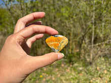 Charger l'image dans la galerie, Jaspe Bumblebee 34