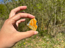 Charger l'image dans la galerie, Jaspe Bumblebee 34