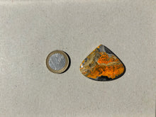 Charger l'image dans la galerie, Jaspe Bumblebee 34