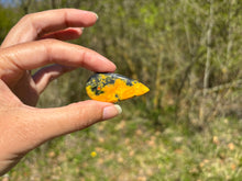 Charger l'image dans la galerie, Jaspe Bumblebee 35