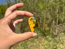 Charger l'image dans la galerie, Jaspe Bumblebee 35