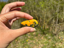 Charger l'image dans la galerie, Jaspe Bumblebee 35