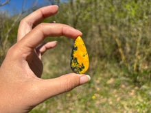 Charger l'image dans la galerie, Jaspe Bumblebee 35