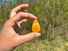 Charger l'image dans la galerie, Jaspe Bumblebee 36