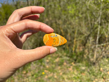 Charger l'image dans la galerie, Jaspe Bumblebee 37