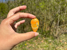 Charger l'image dans la galerie, Jaspe Bumblebee 37