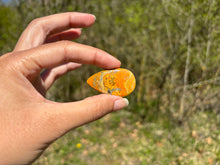 Charger l'image dans la galerie, Jaspe Bumblebee 37