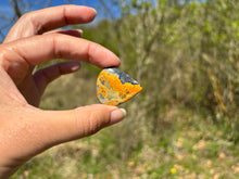 Charger l'image dans la galerie, Jaspe Bumblebee 39
