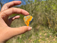 Charger l'image dans la galerie, Jaspe Bumblebee 39