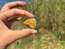 Charger l'image dans la galerie, Jaspe Bumblebee 39