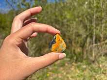 Charger l'image dans la galerie, Jaspe Bumblebee 39