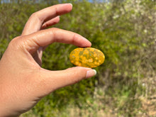 Charger l'image dans la galerie, Jaspe Océan 5