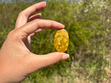 Charger l'image dans la galerie, Jaspe Océan 5
