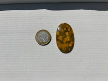 Charger l'image dans la galerie, Jaspe Océan 5