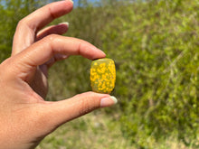 Charger l'image dans la galerie, Jaspe Océan 6