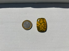 Charger l'image dans la galerie, Jaspe Océan 6